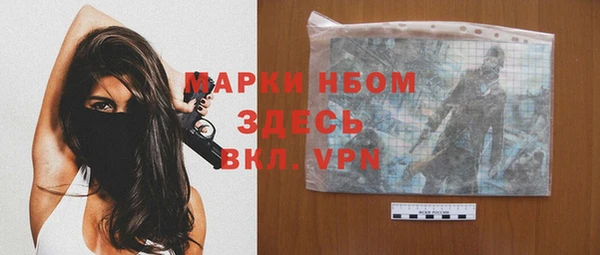 гидра Богородицк