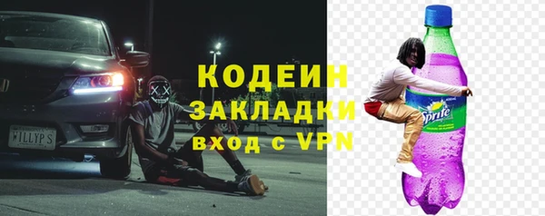 гидра Богородицк