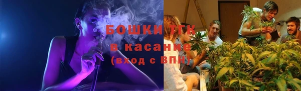 гидра Богородицк