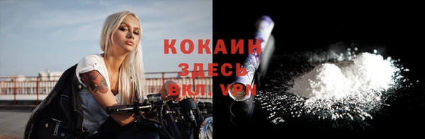 гидра Богородицк