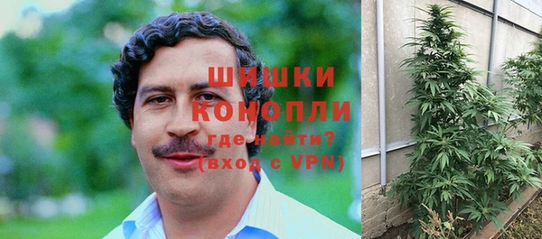 гидра Богородицк