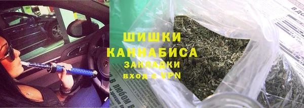 гидра Богородицк