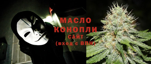 крисы Богородск