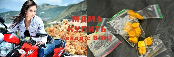 гидра Богородицк